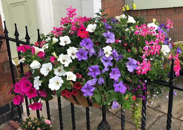Carlton Guest House